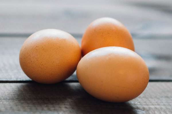 фото яиц